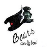 bears-can-fly-too